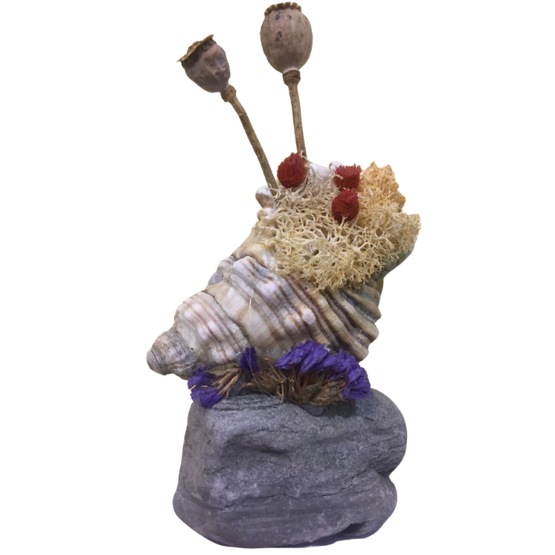 Handmade Seashell Crafts For Adults 